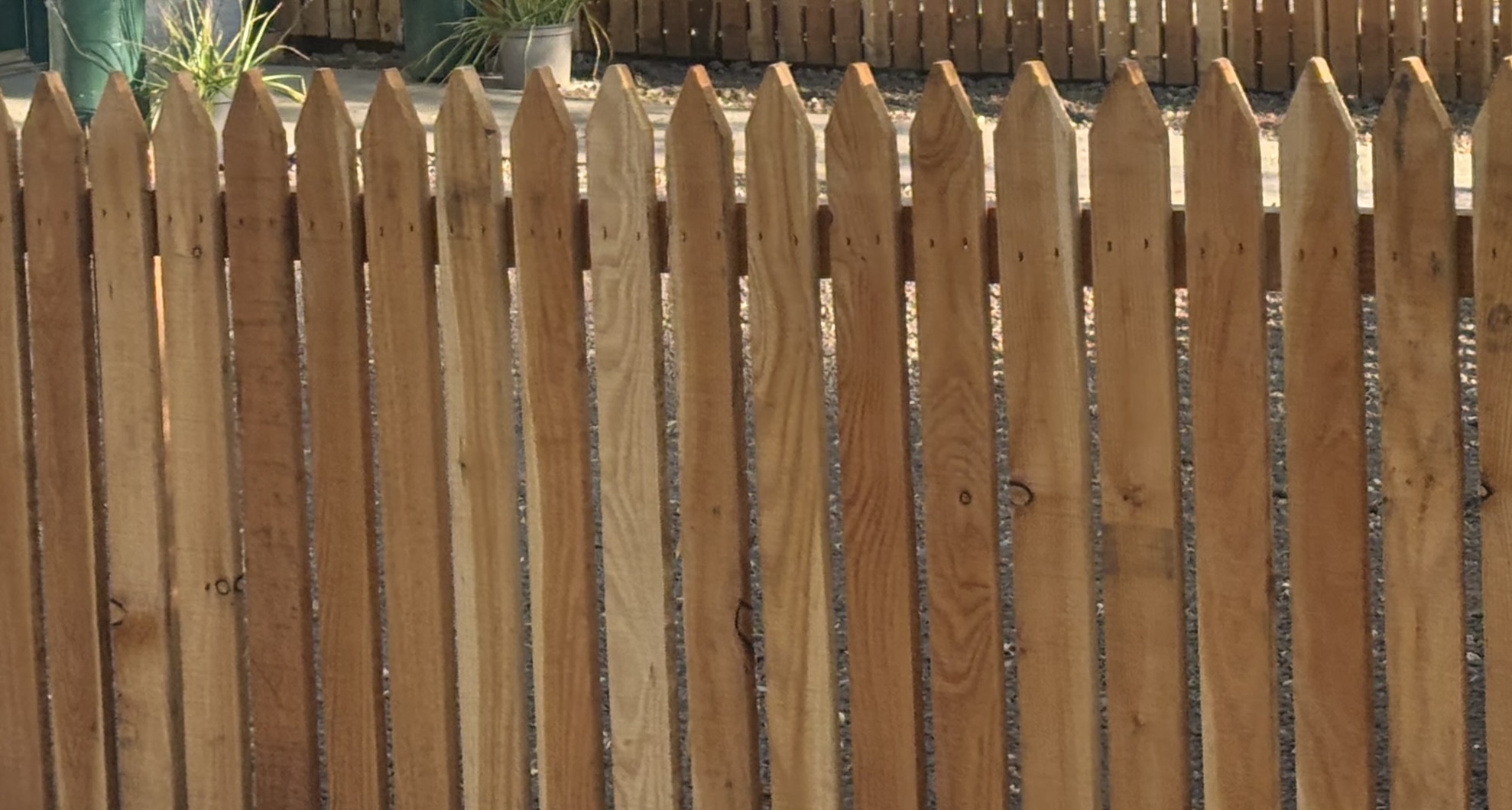 Larch picket fence